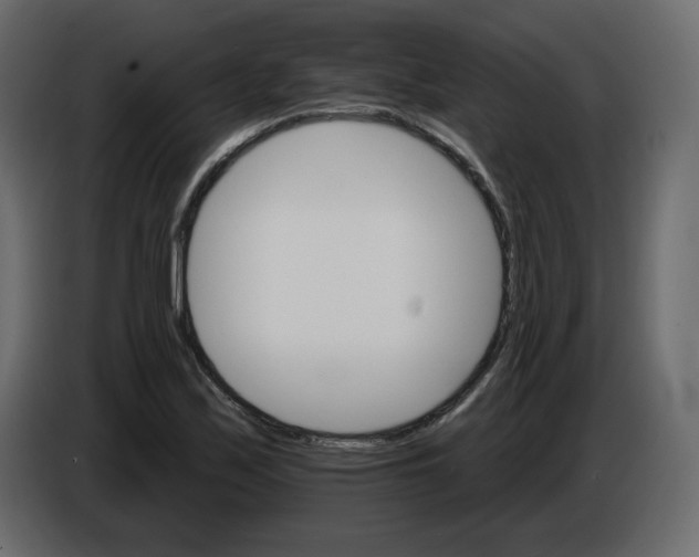 X0000084541171200703231708