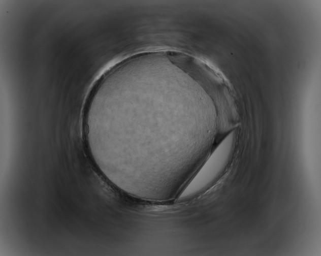 X0000084541173200703231708