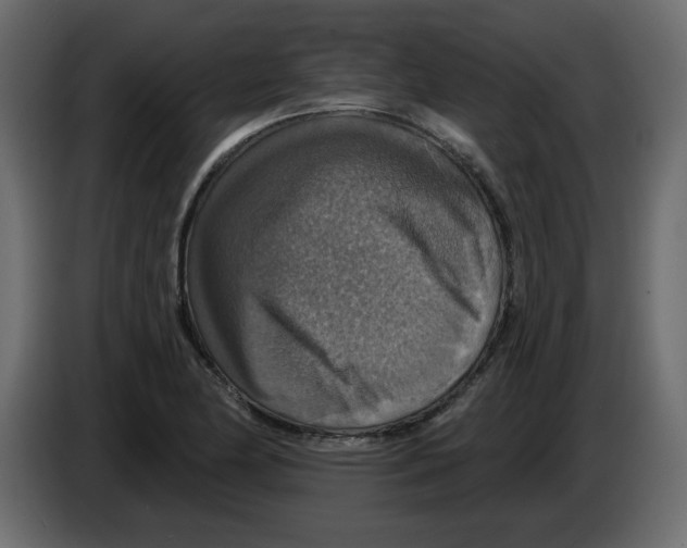 X0000084541174200703231708