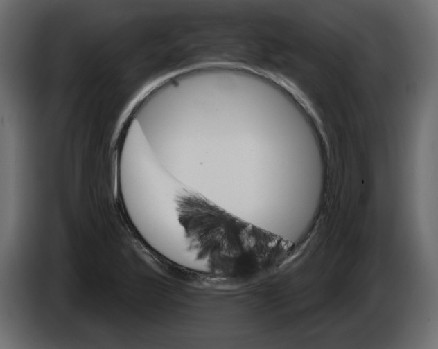 X0000084541175200703231708