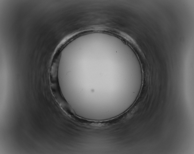 X0000084541176200703231708