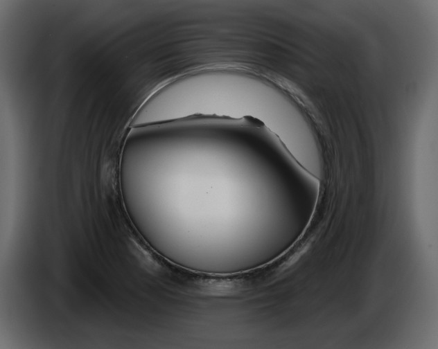 X0000084541177200703231708