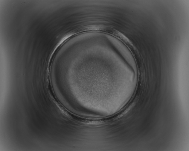 X0000084541178200703231708