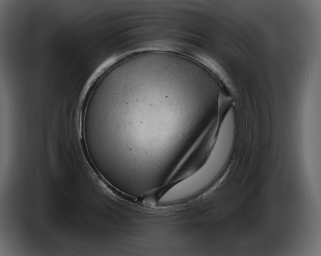 X0000084541180200703231707