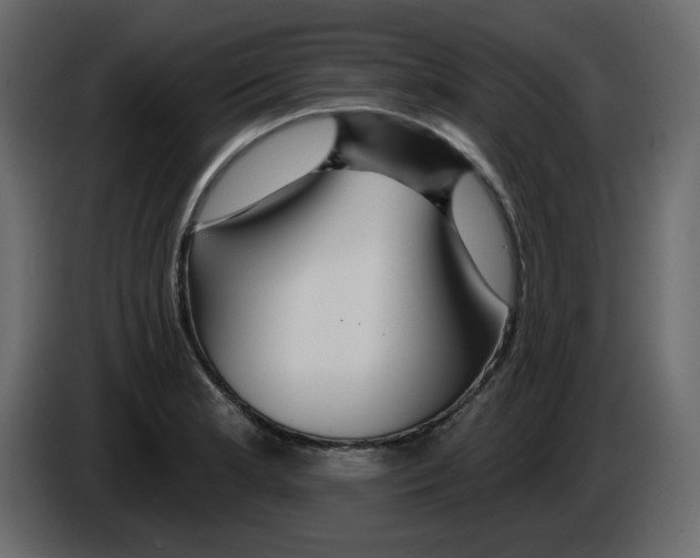 X0000084541181200703231707