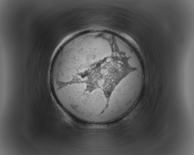 X0000084541183200703231707