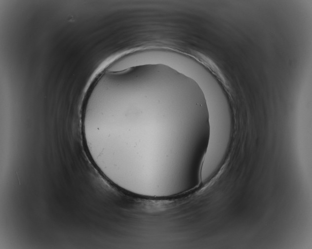 X0000084541184200703231707