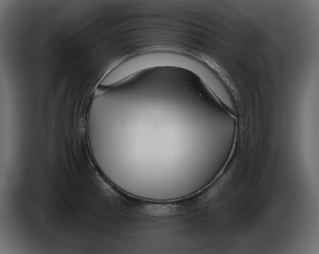 X0000084541185200703231707