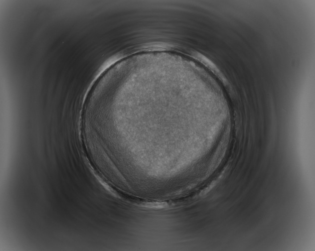 X0000084541186200703231707