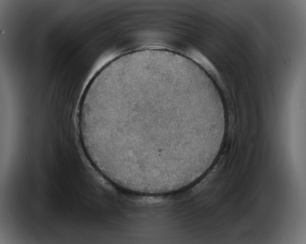 X0000084541190200703231707