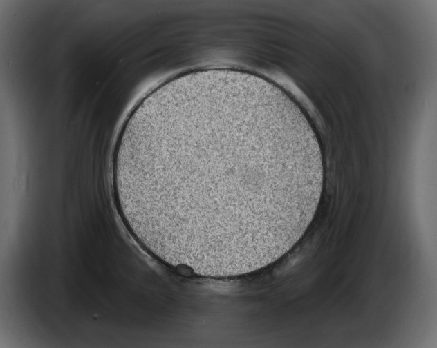 X0000084541191200703231707