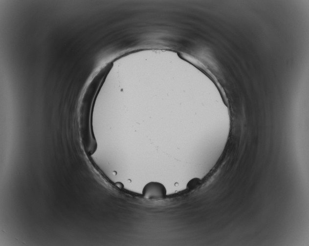 X0000084541192200703231707