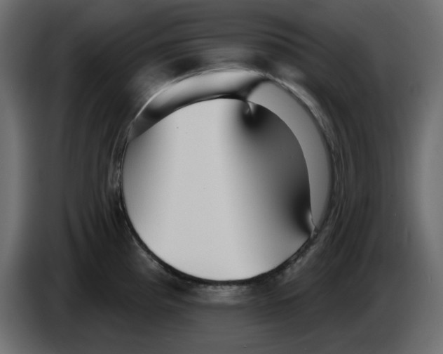 X0000084541193200703231707