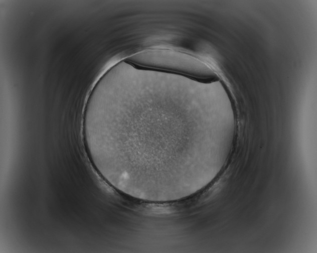 X0000084541194200703231707