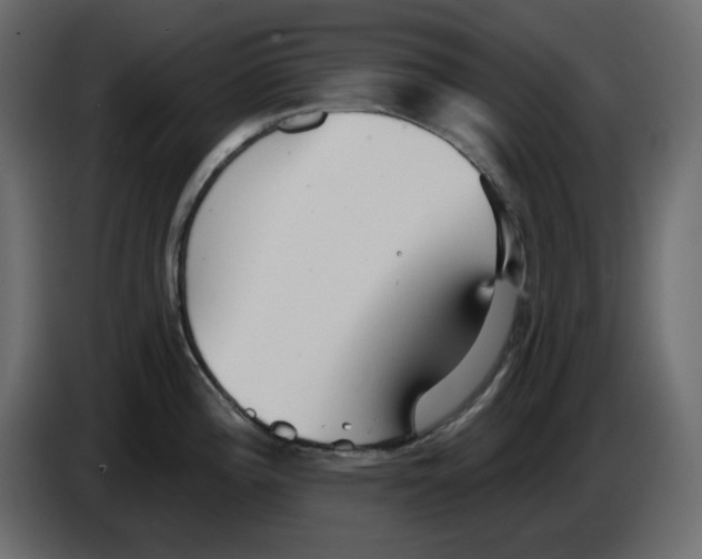 X0000084541196200703231707