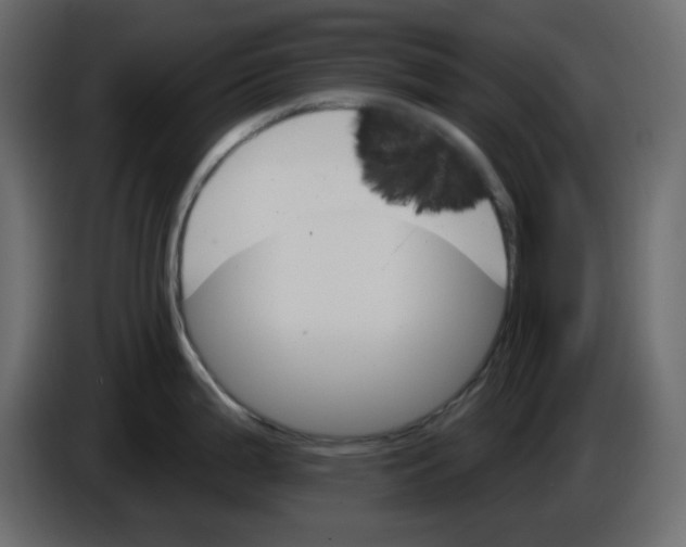 X0000084541199200703231707