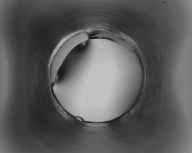 X0000084541200200703231707