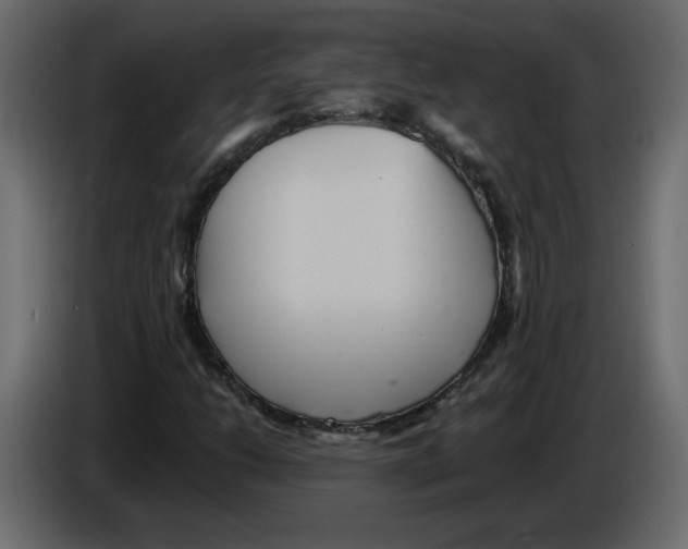 X0000084541206200703231707