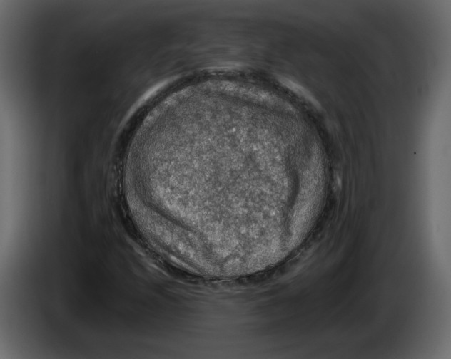 X0000084541208200703231707