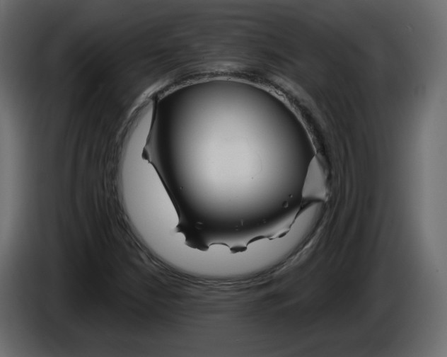 X0000084541210200703231707