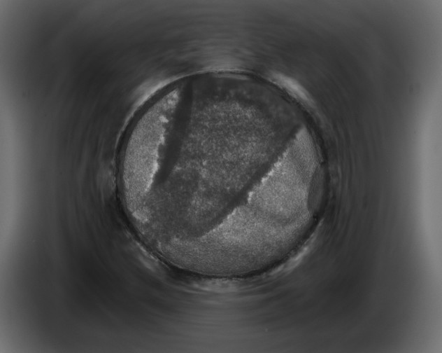 X0000084541212200703231707