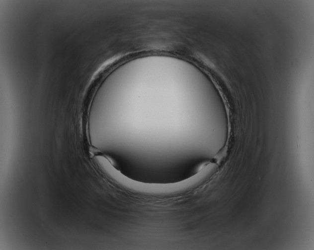 X0000084541214200703231707