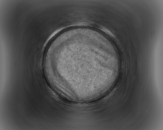 X0000084541216200703231707