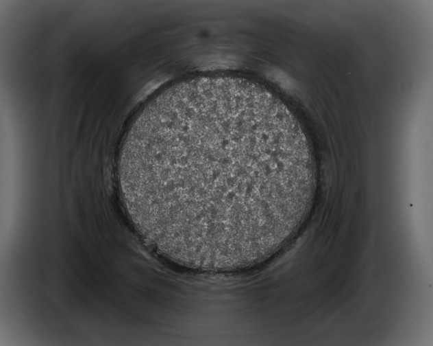 X0000084541217200703231707