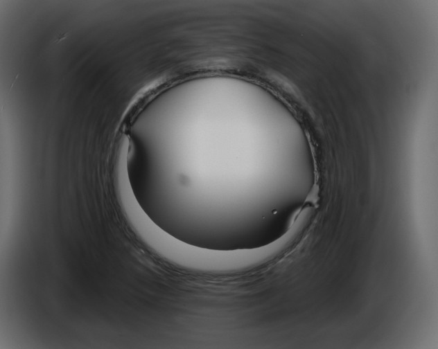 X0000084541218200703231707