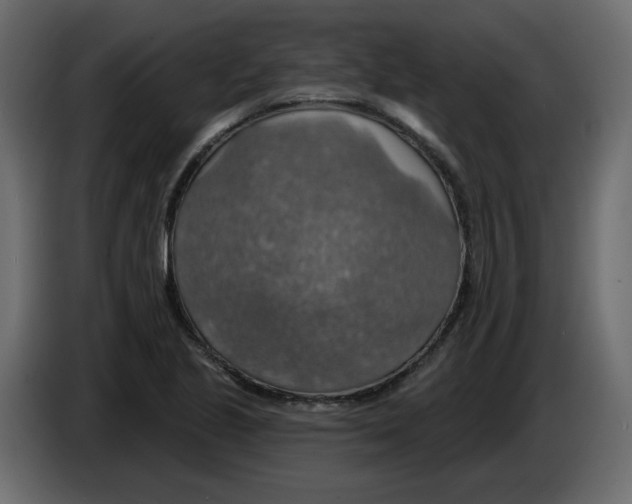 X0000084541221200703231707