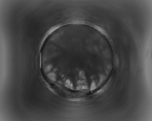 X0000084541223200703231707