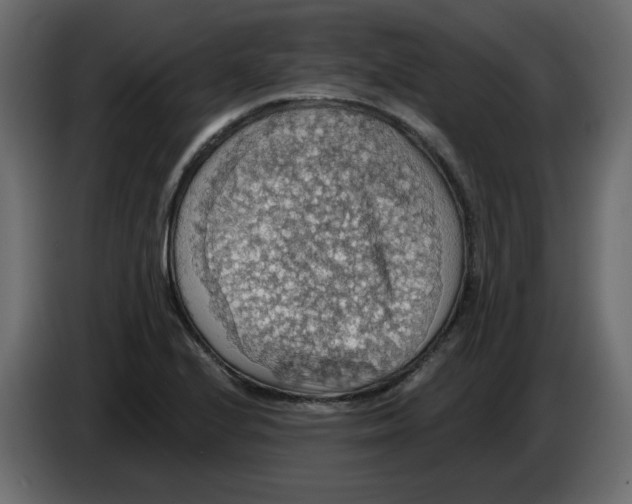 X0000084541224200703231707