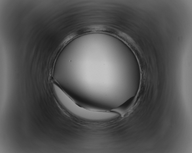 X0000084541225200703231707