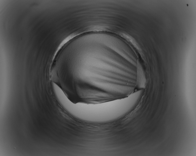 X0000084541226200703231707