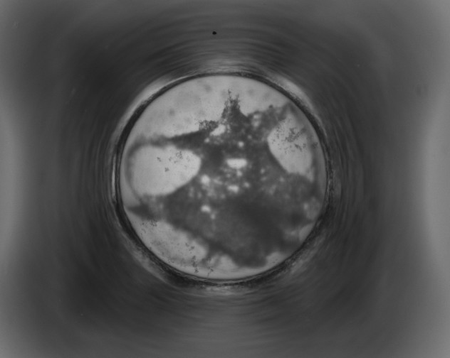 X0000084541227200703231707