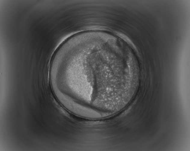 X0000084541228200703231707