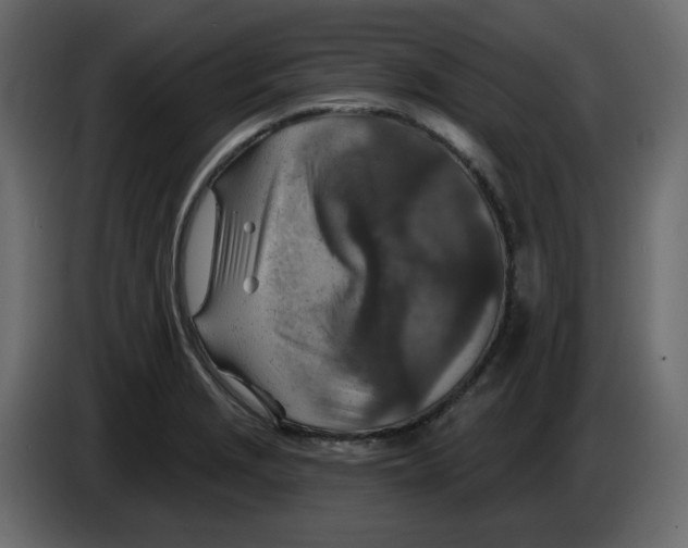 X0000084541229200703231707