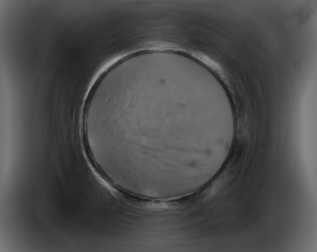 X0000084541231200703231707