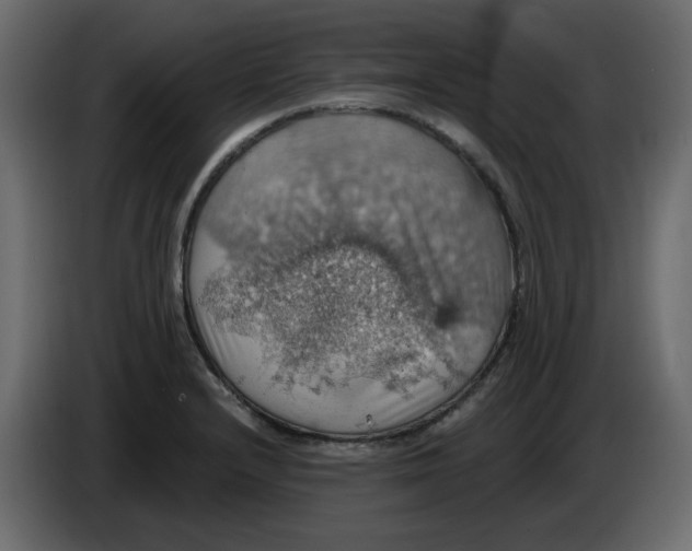 X0000084541232200703231707