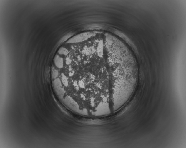 X0000084541233200703231707