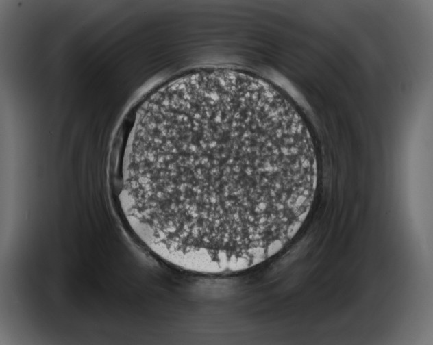 X0000084541237200703231707