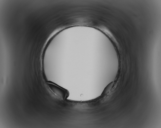 X0000084541238200703231707