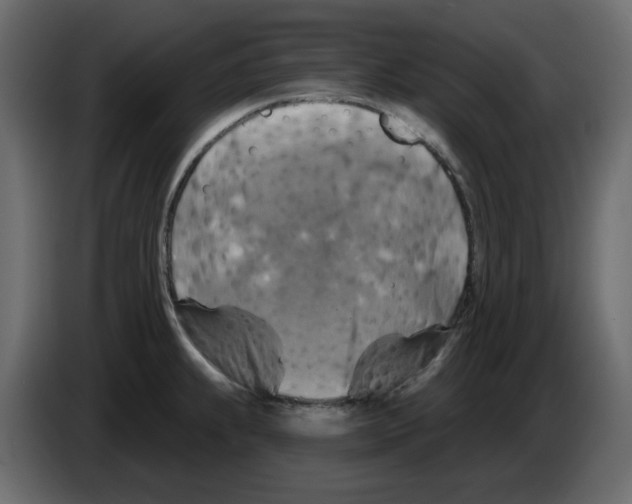 X0000084541239200703231707