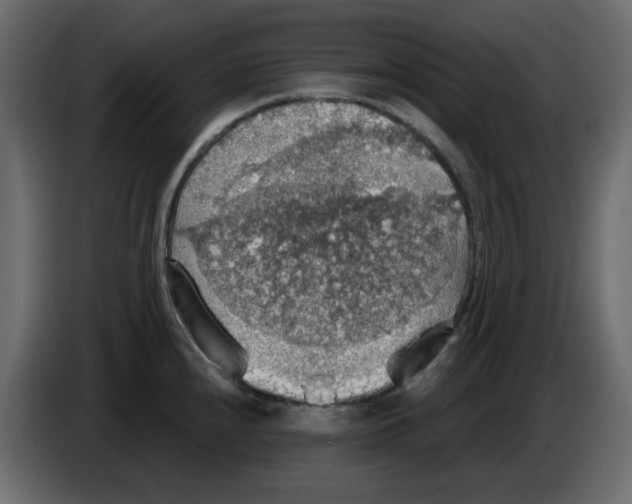 X0000084541240200703231707