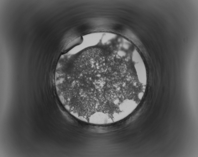 X0000084541241200703231707