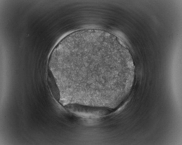 X0000084541244200703231707