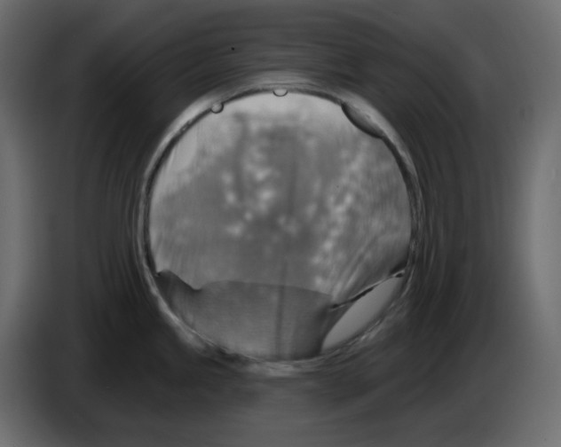 X0000084541245200703231707