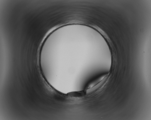 X0000084541246200703231707