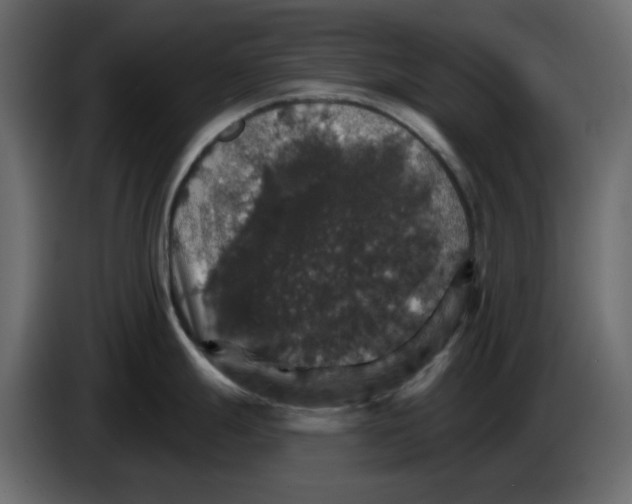 X0000084541247200703231707