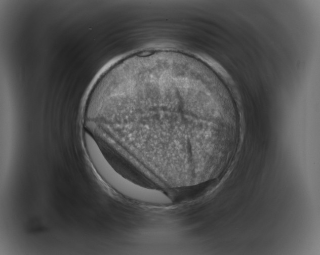 X0000084541248200703231707